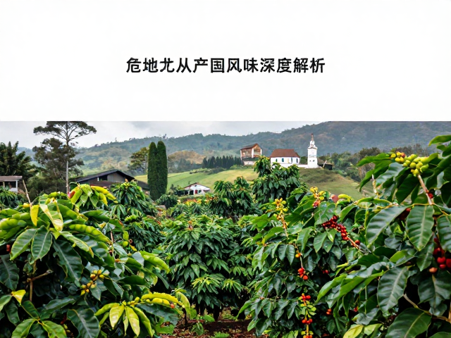 历史背景与种植模式对风味的隐性影响