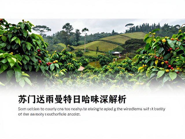苏门答腊曼特宁哈特曼庄园的风土与工艺特征