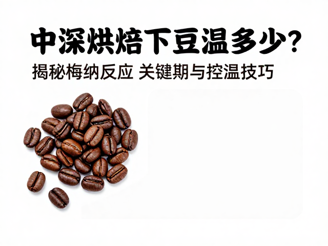 中深烘焙下豆温多少？揭秘梅纳反应关键期与控温技巧