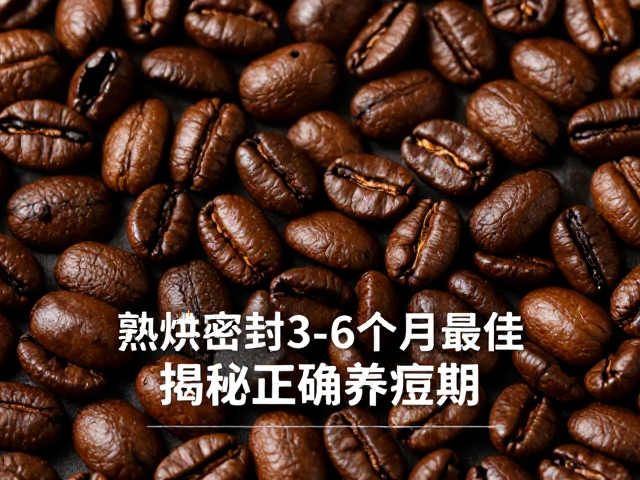 密封保存对熟豆风味的锁定作用