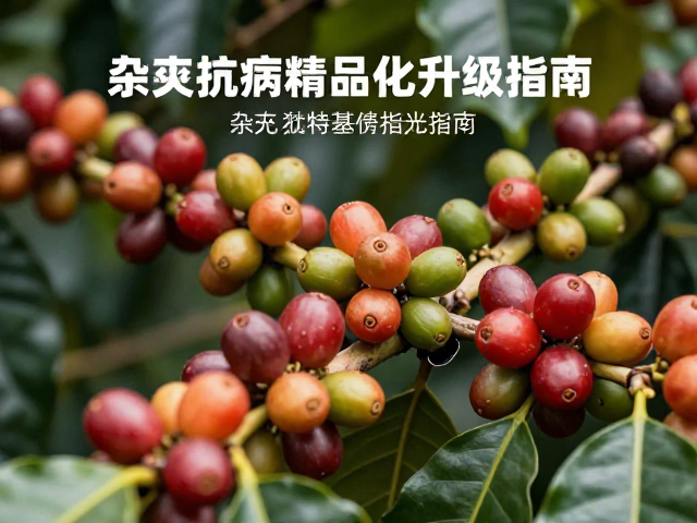 咖啡物种特性与本土化育种基础