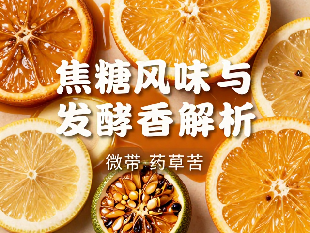 多维风味的交织与口感解析
