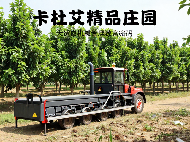 经济效益与社会带动效应