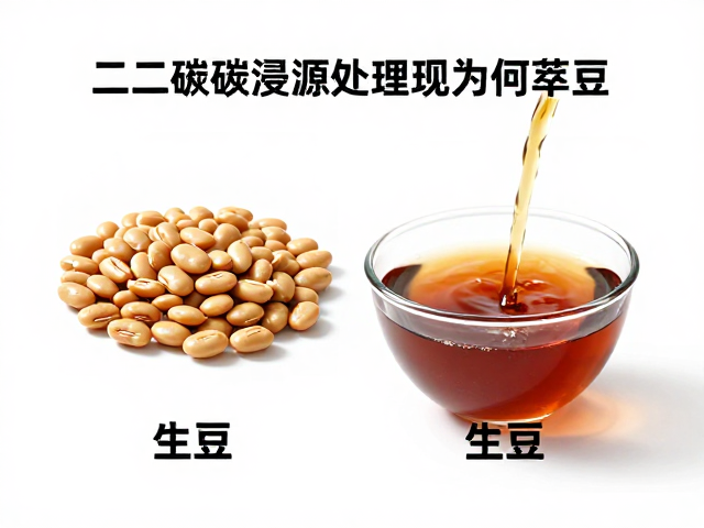 直接冲煮对萃取动力学的影响