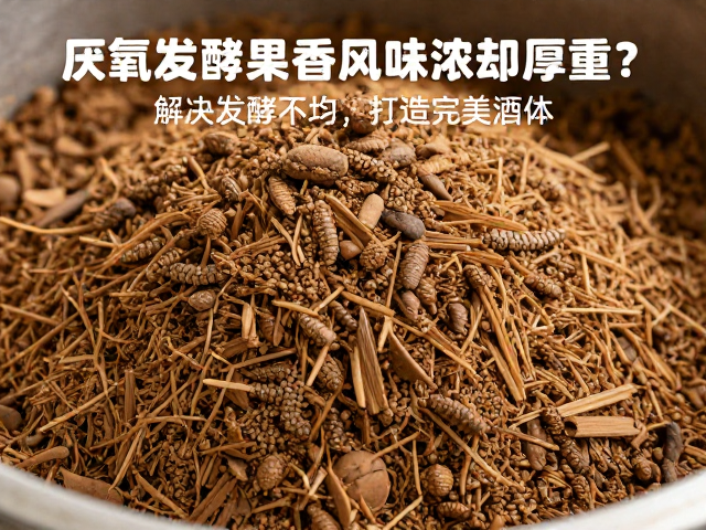 营养调控与酵母选型:优化代谢路径