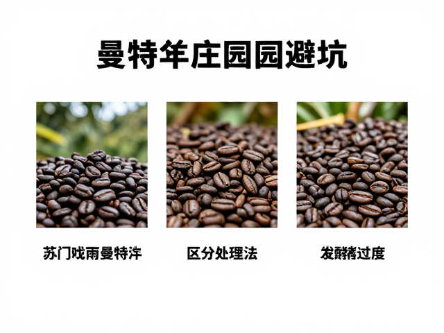 苏门答腊曼特宁庄园避坑：处理法差异决定风味上限