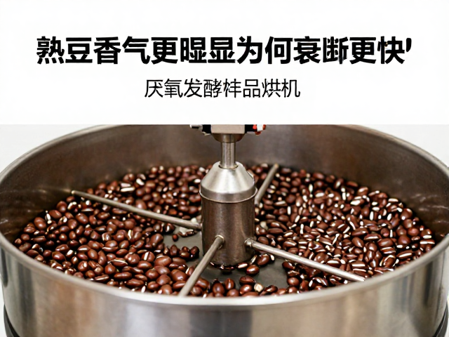 烘焙热力学与厌氧环境的耦合效应