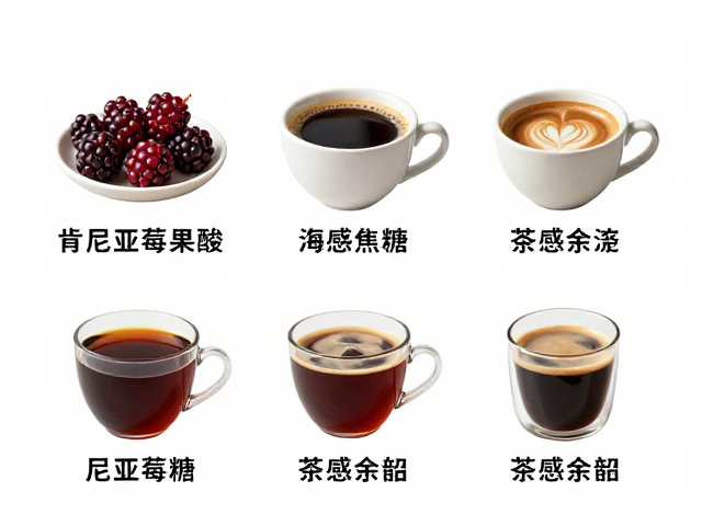 茶感余韵的层次化呈现