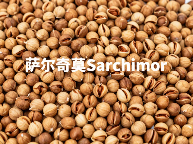 市场定位与消费场景