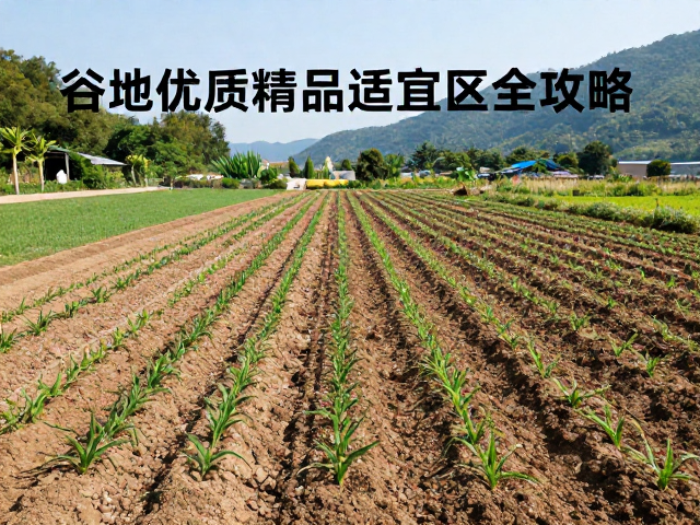 谷地微气候下的土壤与水分管理策略