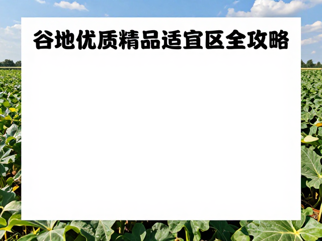 采收标准与产后处理的品质保全