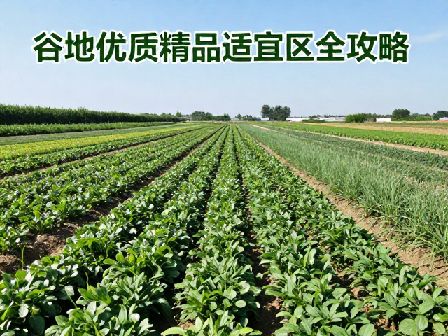 品种选育与生态种植的技术规范