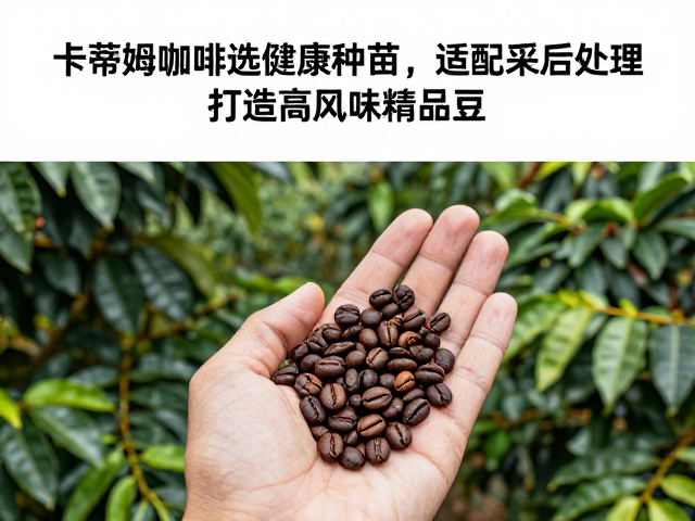 精准适配采后处理工艺的路径