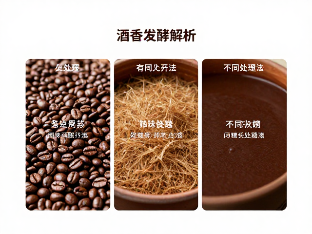 蜜处理与特殊发酵：精准控制下的风味分层