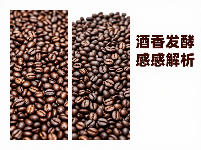 酒香发酵感的形成机制与感官特征