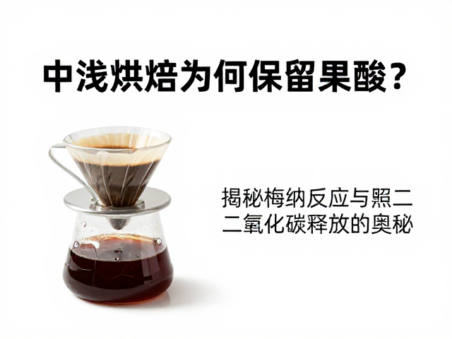 冲煮参数对酸质表现的影响