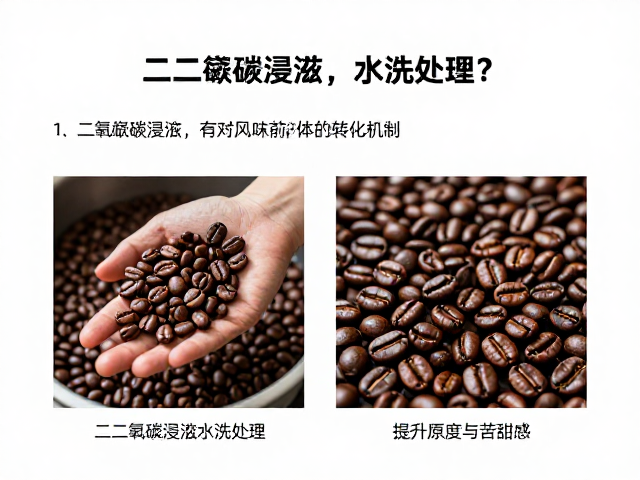 二氧化碳浸渍对咖啡风味前体的转化机制