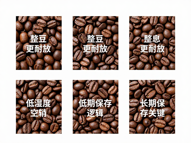分装策略与长期保存逻辑