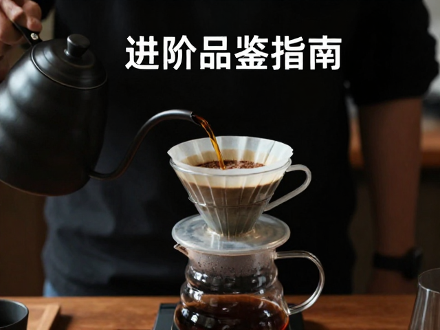 研磨度与滤杯的选择逻辑