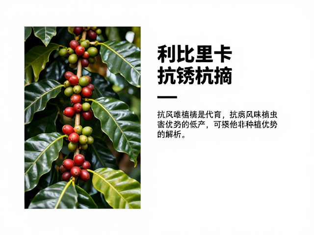 适宜种植环境与可持续农业价值