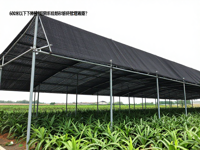 物理遮阴结构的选择与参数设定