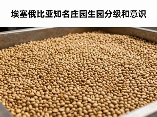 埃塞俄比亚生豆分级体系的底层逻辑