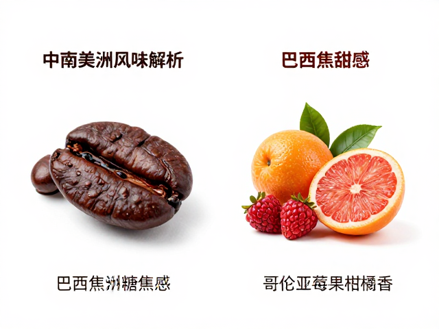 风味差异背后的科学与文化逻辑
