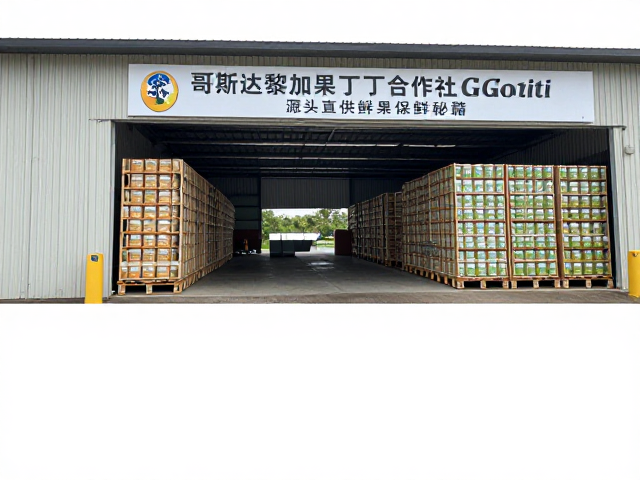 跨国物流与终端交付的质量保障