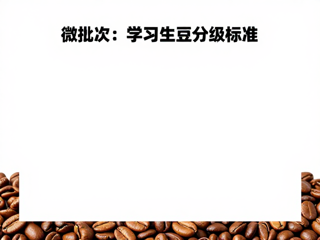 微批次与生豆分级的底层逻辑
