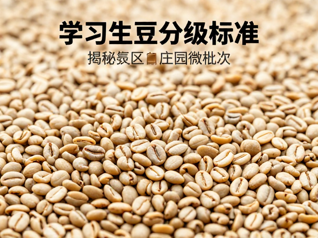 生豆分级的具体指标解析