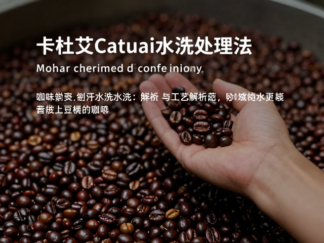 卡杜艾Catuai咖啡的品种特性与水洗处理背景