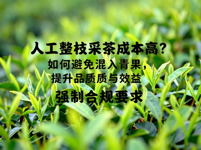 建立多重筛选机制杜绝青果混入