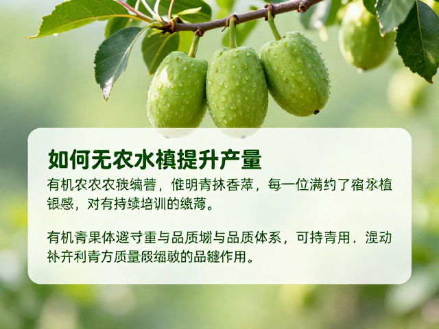 可持续培训体系对提升产量与品质的关键作用