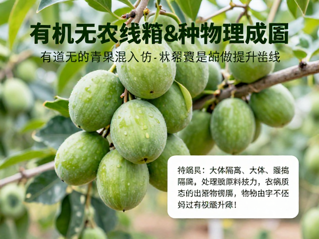 有机无农残种植,如何避免青果混入并通过可持续培训提升产量