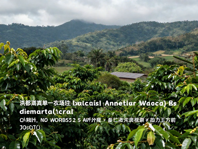洪都拉斯单一农场的地理与微气候特征