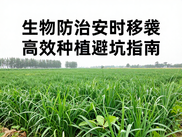 生物防治：构建农田生态平衡的核心防线