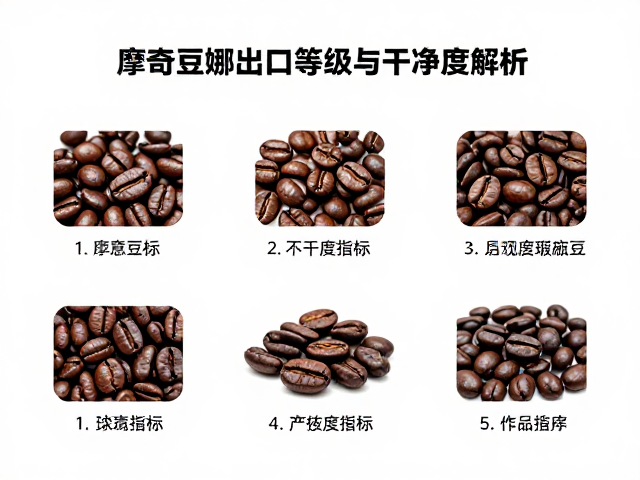 干净度指标与瑕疵豆的具体定义