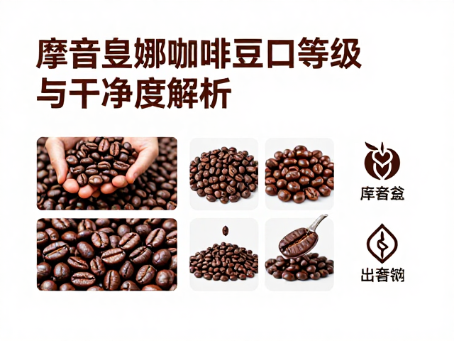 摩吉安娜咖啡的风味特征与感官表现