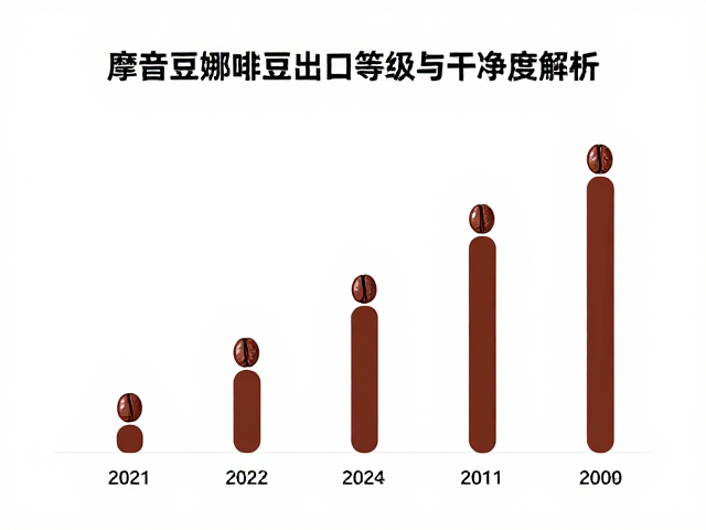 出口市场的需求趋势与贸易流向