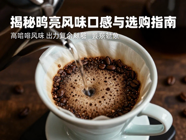 储存与冲泡对口感的影响
