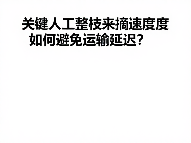运输工具的匹配与调度策略