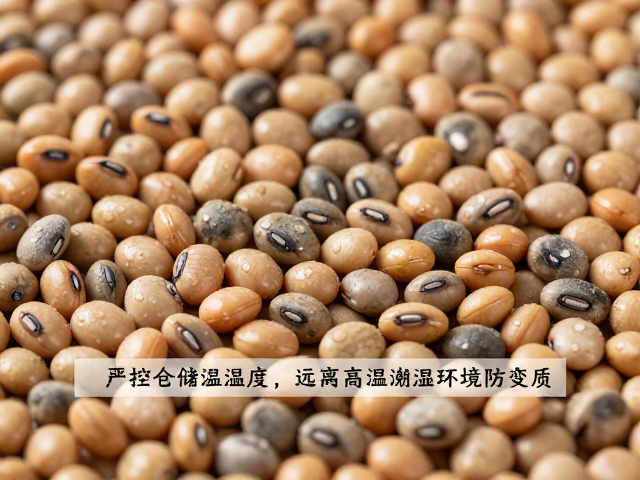 温湿度失控是豆类变质的主要推手