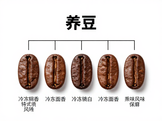意式咖啡豆的“养豆”周期与风味演变