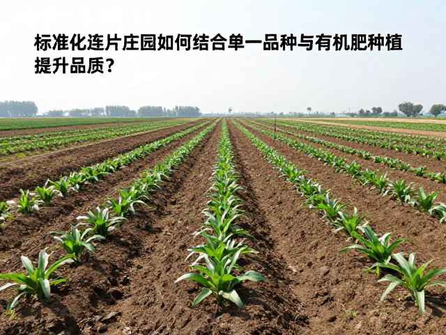 有机肥替代化肥的土壤重构逻辑
