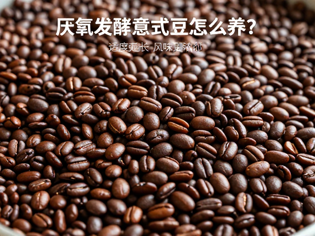 厌氧发酵意式豆的转化逻辑与风味基础
