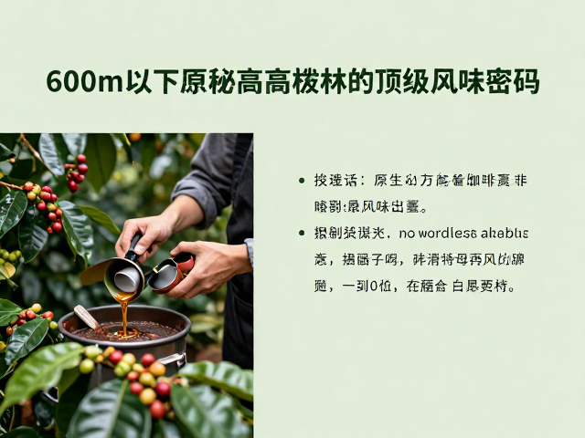烘焙过程中的风味定型