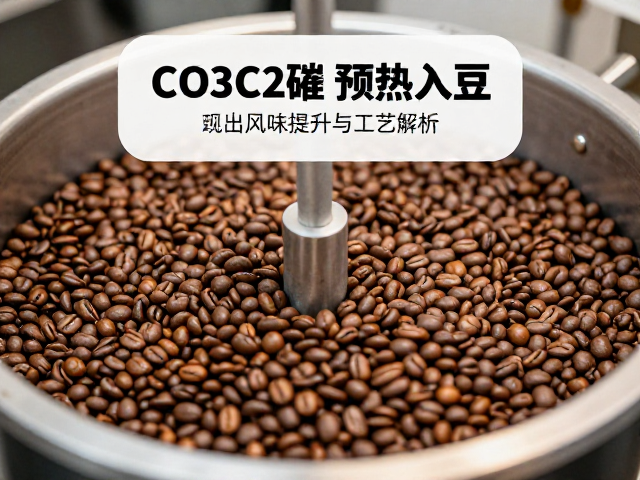 预热入豆的热力学效应与香气保留