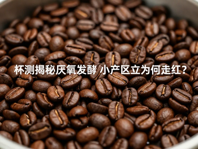 厌氧发酵：重塑咖啡豆风味的微生物实验