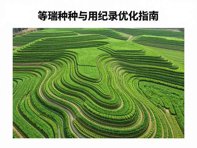 等高线种植的技术规范与地形适配