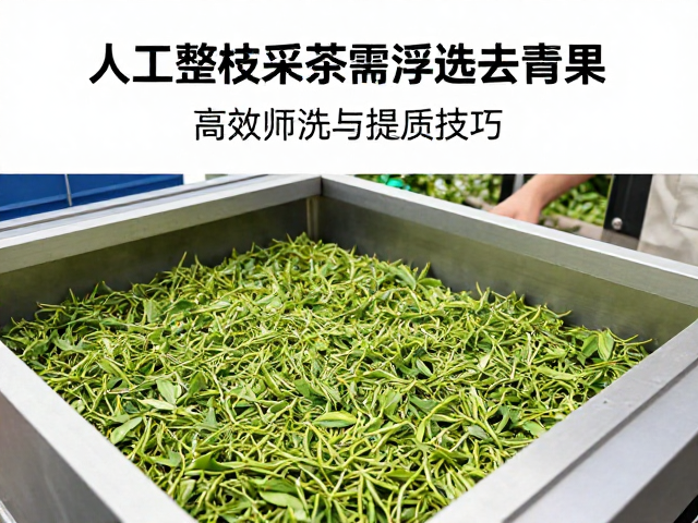 高效筛选设备的参数优化与操作要点